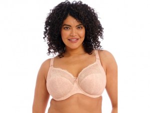 Rose Wacoal Elomi Morgan Underwire Banded Underwear | LIXSACW-51