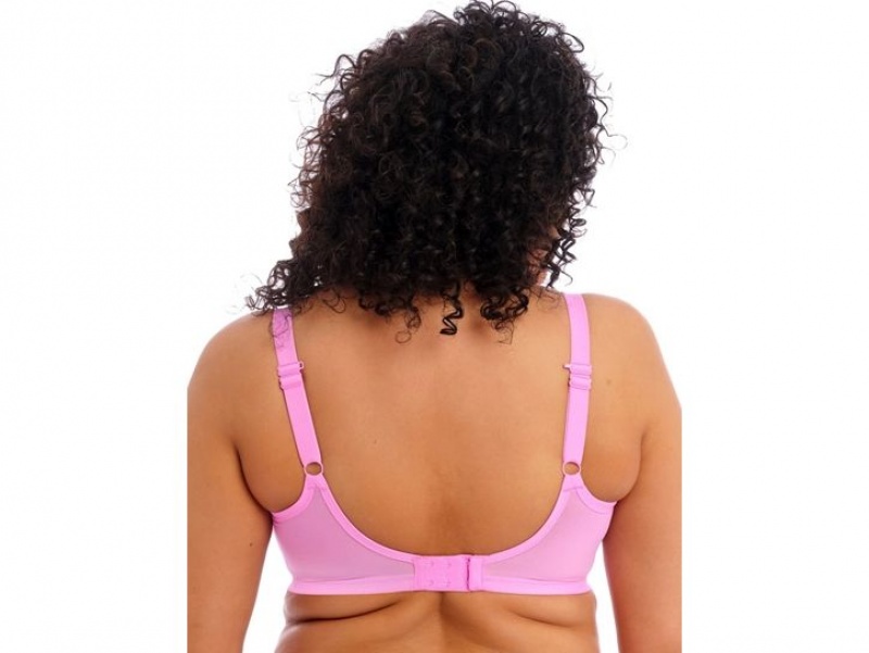 Pink Wacoal Elomi Brianna Underwire Padded Half Cup Underwear | NPYQKJH-29