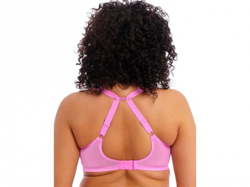 Pink Wacoal Elomi Brianna Underwire Padded Half Cup Underwear | NPYQKJH-29