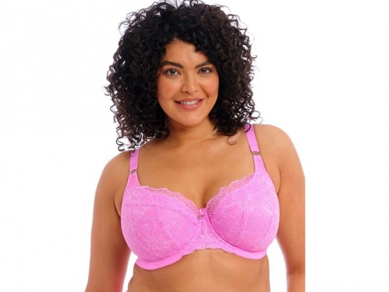 Pink Wacoal Elomi Brianna Underwire Padded Half Cup Underwear | NPYQKJH-29