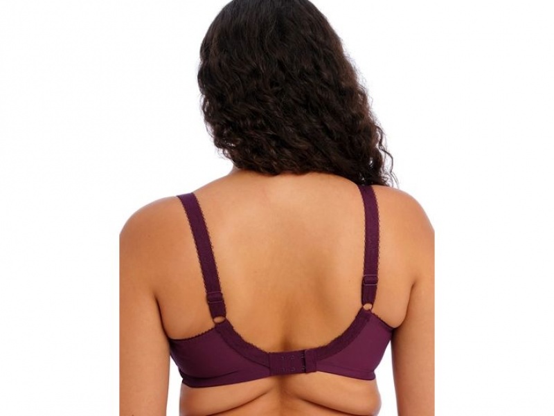 Purple Red Wacoal Elomi Morgan Stretch Banded Underwire Underwear | LWMJZPD-25