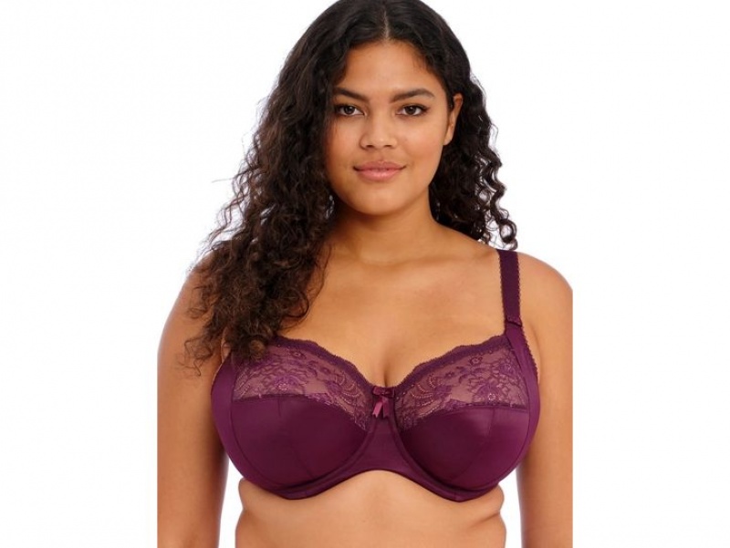 Purple Red Wacoal Elomi Morgan Stretch Banded Underwire Underwear | LWMJZPD-25