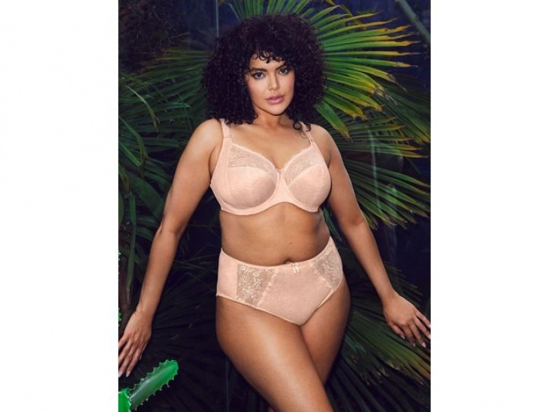 Rose Wacoal Elomi Morgan Underwire Banded Underwear | LIXSACW-51