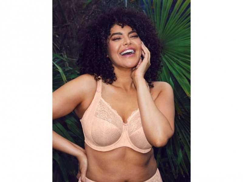 Rose Wacoal Elomi Morgan Underwire Banded Underwear | LIXSACW-51